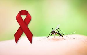Imagine of mosquito next to red ribbon of HIV/AIDS support