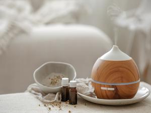 Indoor Air Purification Market
