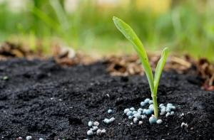 Nitrogenous Fertilizer Market