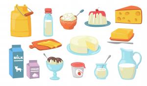  Dairy Products Packaging  Market