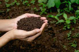 Soil Conditioners market