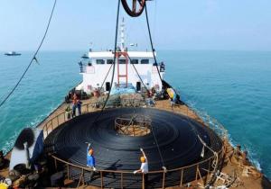 But since 2006, the probability of damage to cables by undersea fish animals and sharks has been less than 1%, which is related to the complex basic structure of submarine fiber optic cables.