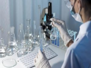 Pyridine market