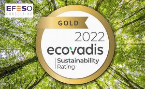 EFESO Consulting awarded Gold medal by EcoVadis for its performance and action on Sustainability and CSR