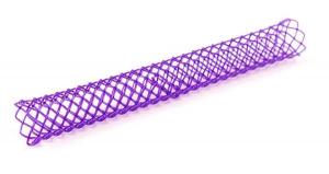 Bio-absorbable Stents Market