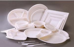 Bagasse Products Market