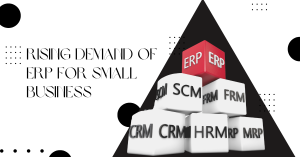 ERP Software