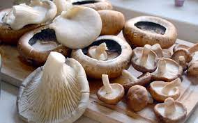 Edible Mushroom Market