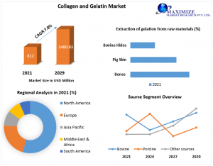 Collagen and Gelatin Market