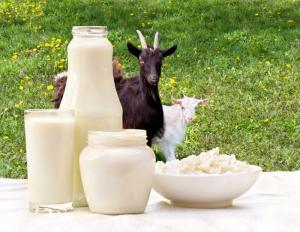 Goat Milk Market