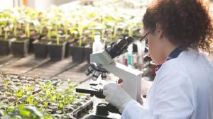 Agriculture Biotechnology Market