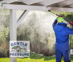 Gentle Pressure Roof and Exterior Cleaning 1