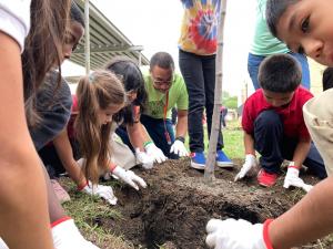 Trees ranging from Southern magnolias to holly bushes went in the ground. Root balls must be prepped and measured for proper depth and planting.