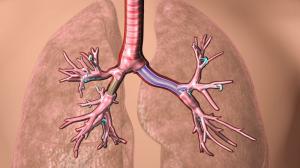 Airway Stent/Lung Stent Market