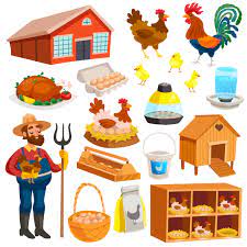 Animal by-product Market size
