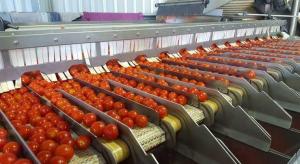 Automated Food Sorting Machines Market
