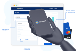 Tryllian Bank App Card and Web-Portal