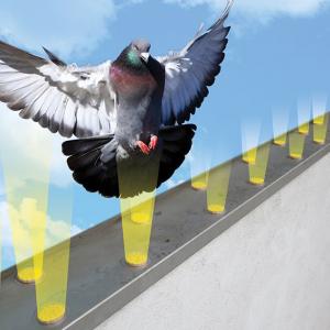 Bird Repellent Market