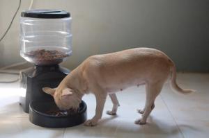 Automatic Pet Feeder Market