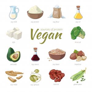  Vegan Plant-based Protein Market