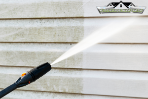 Platinum Power Wash 3