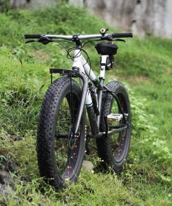 Fatbike Market