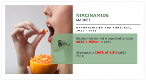 Niacinamide Market Size