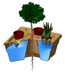The Growboxx® plant cocoon - an intelligent bucket made from paper pulp to plant trees in combination with shrubs, vegetables or wildflowers in a sustainable and water saving way