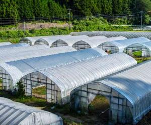 UV Stabilizers Market