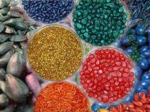 Seed Coating Agent Market