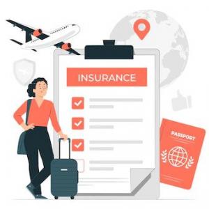 Tourism Insurance Market