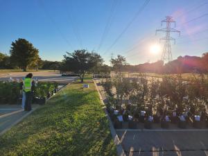 To increase Plano’s tree canopy and assist residents with trees lost in last year’s winter storm, residents received free trees and bags of compost.