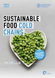 Amid Food and Climate Crises, Investing in Sustainable Food Cold Chains Crucial: UN