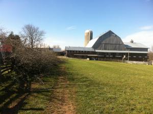 glencolton-farms-dairy-michael-schmidt