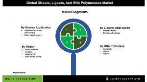Global DNases, Ligases, And RNA Polymerases Market seg