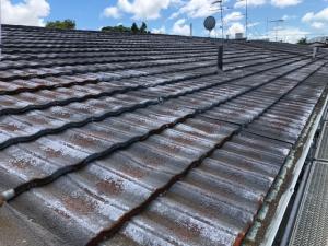 rusted asbestos roof