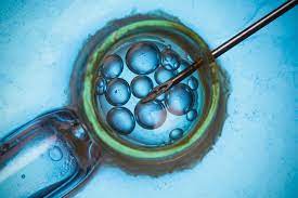Assisted Reproductive Technology Market