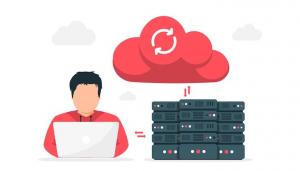 Cloud Based Data Management Services Industry
