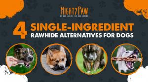 Rawhide-free, single-ingredient beef dog chews