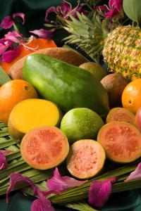 Group of tropical fruit, including mamey sapote, mango, orange, papaya, pineapple, and sapodilla