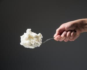 Vegetable Fat Market