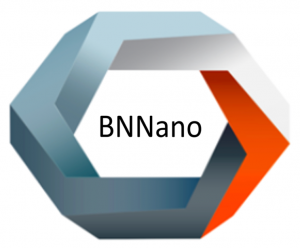 Hexagonal Logo for BNNano