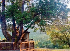 Ganjier's beautiful 240+ acre campus in Humboldt, CA