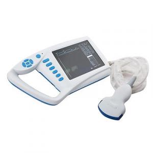 global ultrasound probe disinfection market