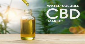 Global Water-soluble CBD Market Research Report