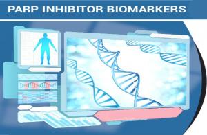 PARP Inhibitor Biomarkers Market