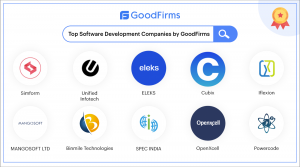 TopSoftwareDevelopmentCompanies