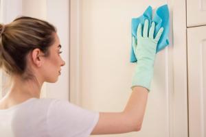 Wall cleaning Service Market