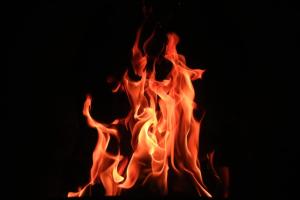 Fire Wallpaper Market