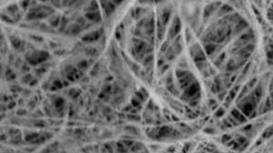 Bacterial Nanocellulose market